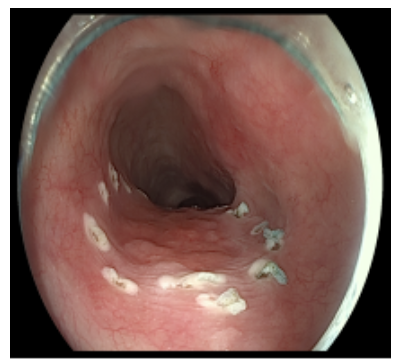 1752547969102733.png image.png