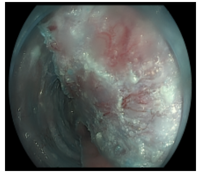 1752547986484185.png image.png