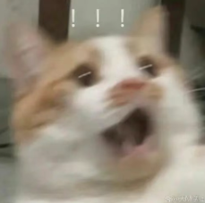 1754292746682264.png image.png